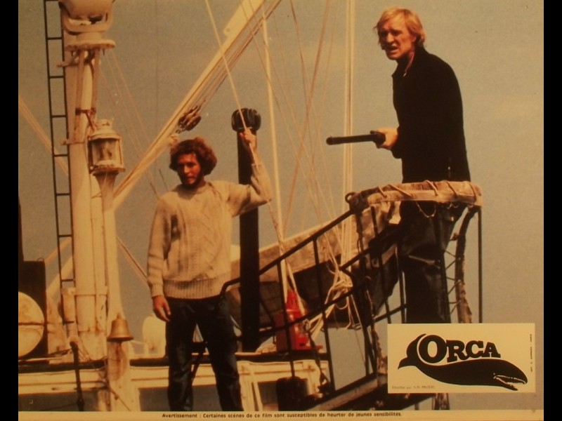 Photo du film ORCA