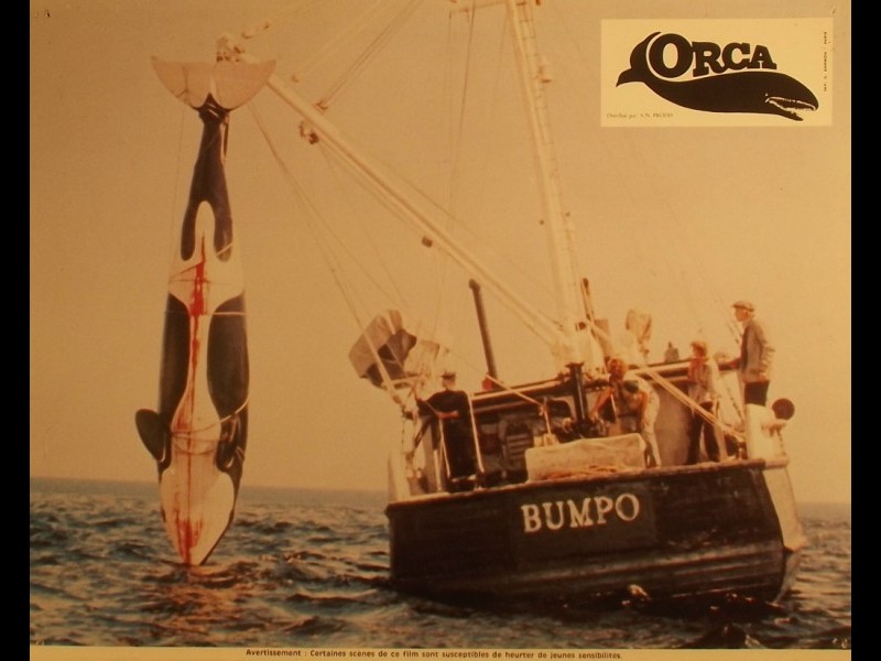 Photo du film ORCA