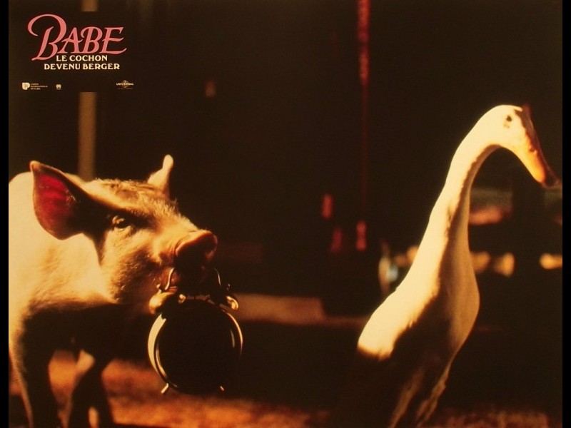 Photo du film BABE, LE COCHON DEVENU BERGER