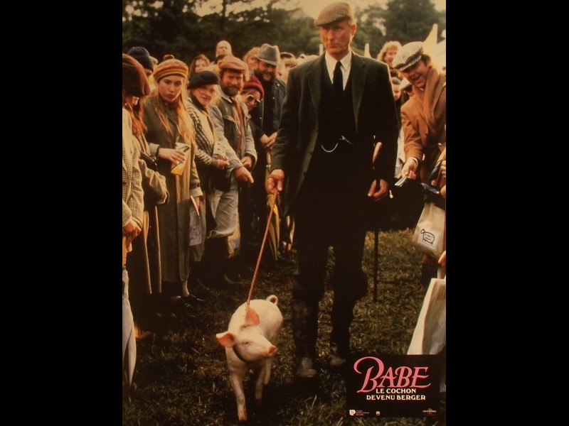 Photo du film BABE, LE COCHON DEVENU BERGER