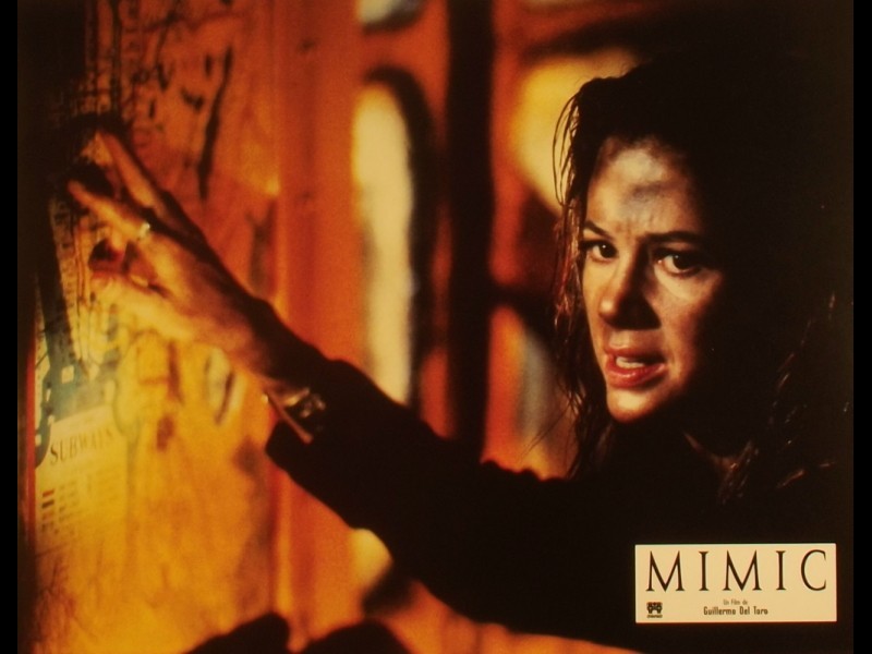 Photo du film MIMIC