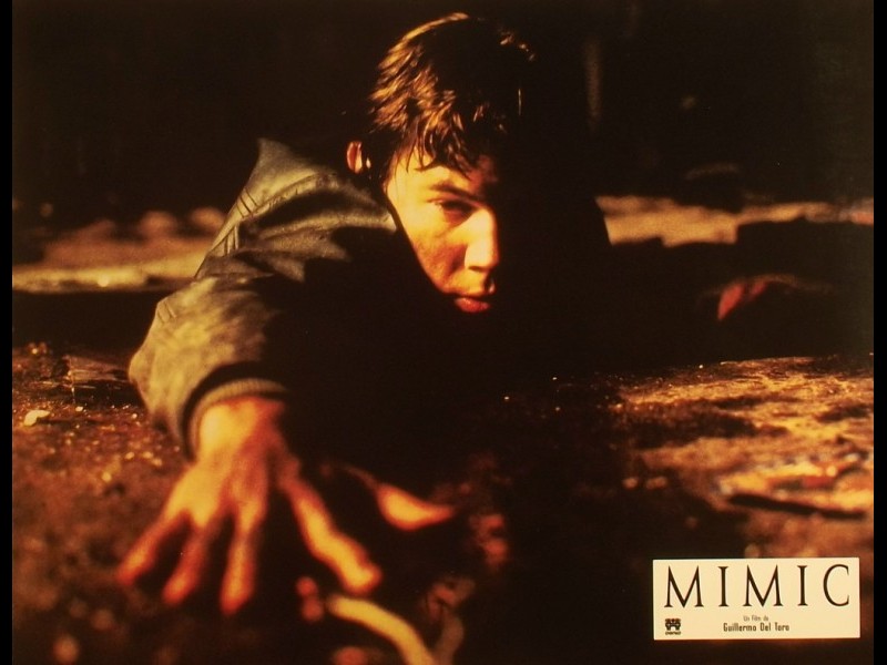 Photo du film MIMIC