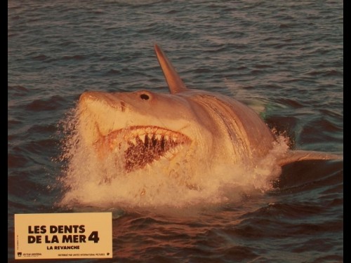 DENTS DE LA MER 4 (LES) - JAWS: THE REVENGE