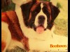 BEETHOVEN